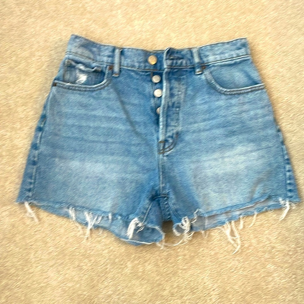PacSun High Rise Icon Short